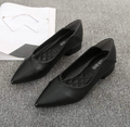 Summer Classic Pointed Shoes